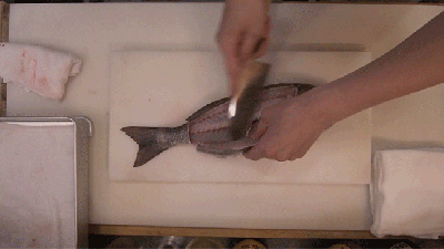 Here’s What Preparing Sashimi Doesn’t Sound Like
