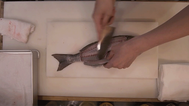 Here’s What Preparing Sashimi Doesn’t Sound Like