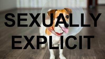 Tumblr Is Banning Videos Of Dogs And Kids For Being ‘Sexually Explicit’
