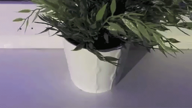 Video Called ‘Moving Plant To The Left 3,000 Times’ Shows Plant Being Moved To The Left 3,000 Times