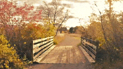 Beautiful Video Shows Every Season Of A Year On One Running Route