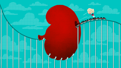 How A Roller Coaster Can Help You Pass A Kidney Stone