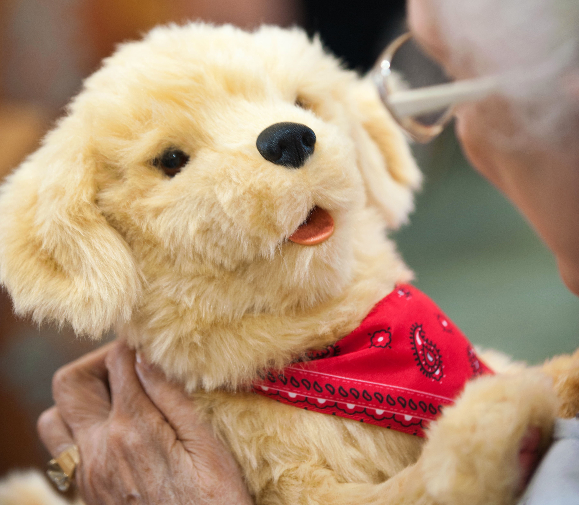 Your Lonely Grandparents Can Now Get A Robot Retriever To Keep Them Company
