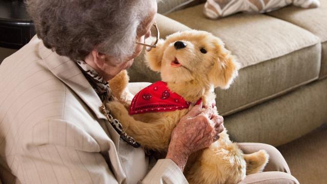 Your Lonely Grandparents Can Now Get A Robot Retriever To Keep Them Company