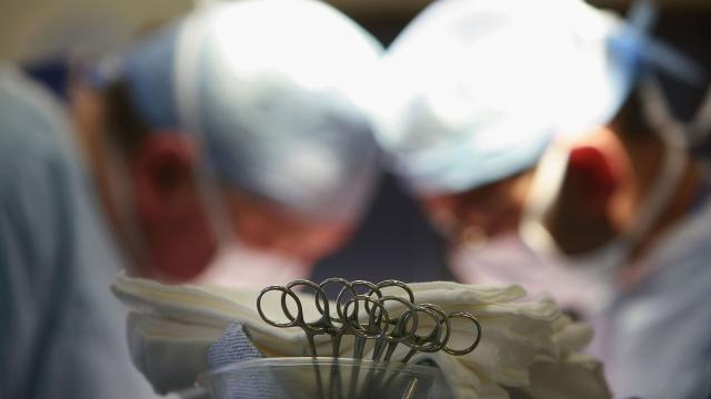 The First Living Donor Uterus Transplants Have Been Performed In The US