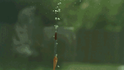 Watching An Underwater Explosion At 120,000 FPS Looks Spectacular