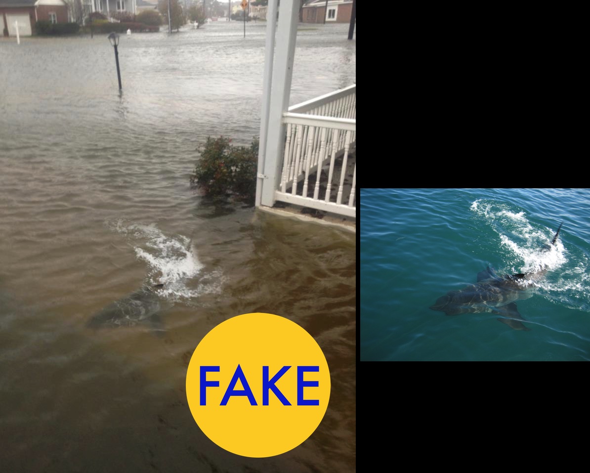 These Viral Photos From Hurricane Matthew Are Totally Fake