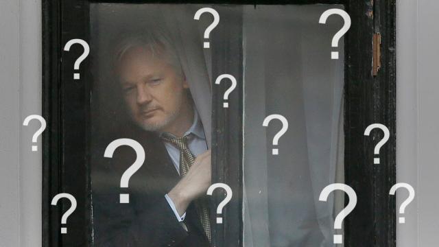 The Internet’s Best Conspiracy Theories About Julian Assange