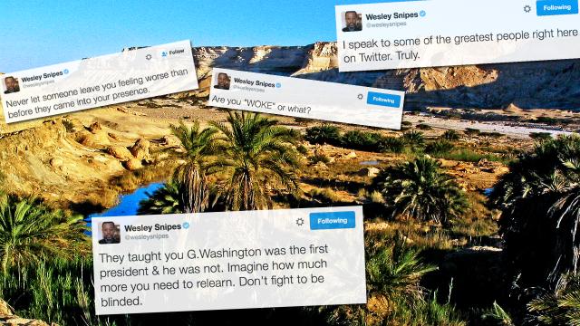 Wesley Snipes’ Twitter Is An Oasis Of Good In The Desert Of Bad Internet