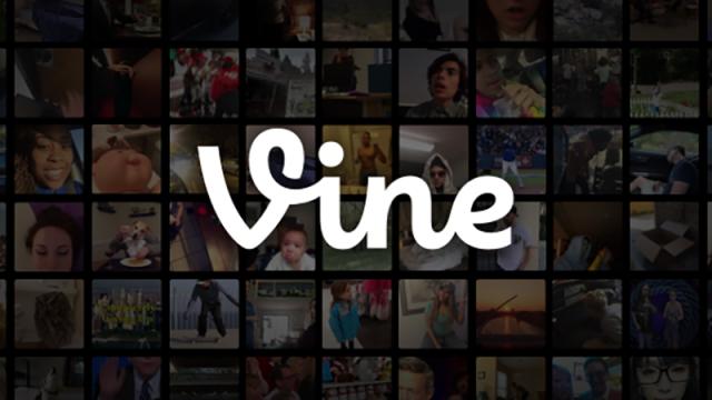How To Save Your Vines Before It’s Too Late