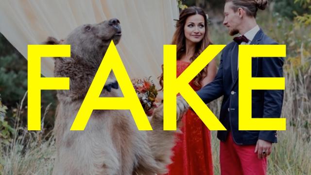 That Russian Bear Wedding Was Totally Fake