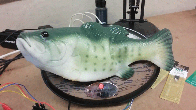 Alexa Combined With Big Mouth Billy Bass Is The Most Unnerving Hack