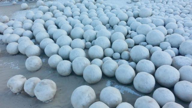Thousands Of Giant Snowballs Suddenly Appear On Siberian Beach