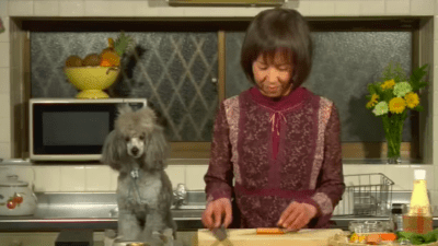 An Internet Dog Chef Goes To Heaven