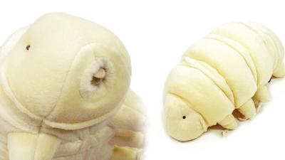 Someone Turned Nature’s Most Bizarre Creature Into An Adorable Plush Toy