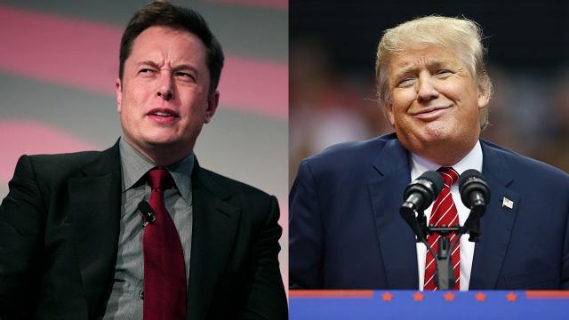 Elon Musk Explains How Trump Could Actually Help Tesla