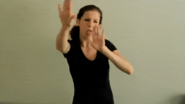 Sign Language Performances Make Every Eminem Song Better