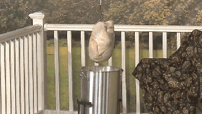 Deep Frying Turkey Looks Very Dangerous
