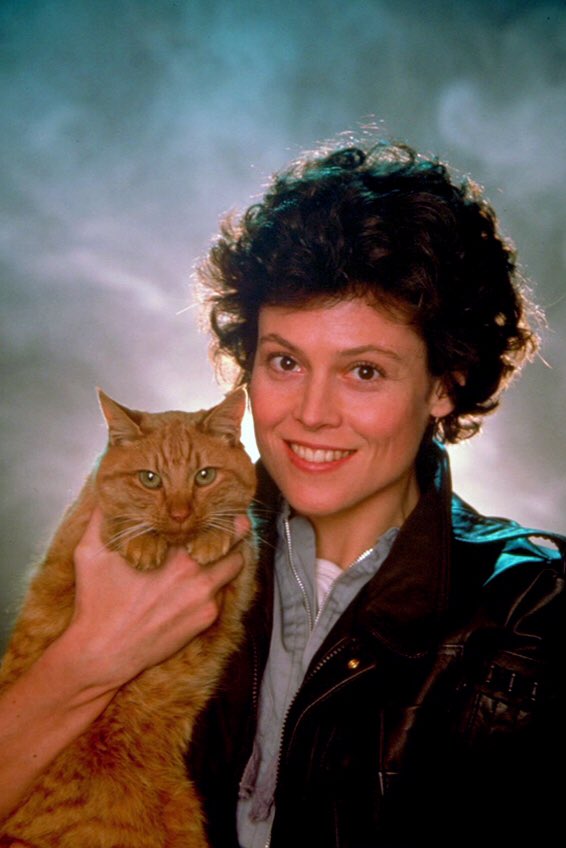 What Is Jones The Cat Thinking In These Incredible Aliens Promo Photos?