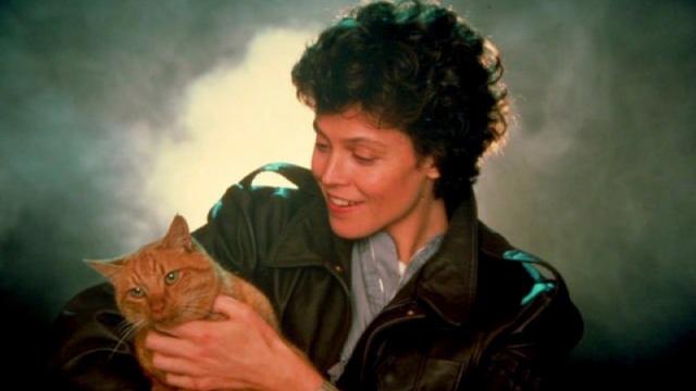 What Is Jones The Cat Thinking In These Incredible Aliens Promo Photos?
