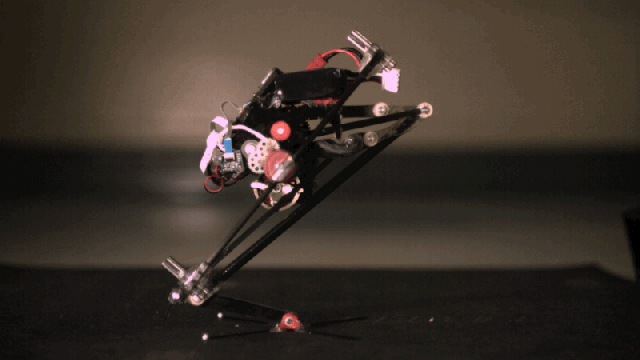This Adorable Robot Can Do Parkour Way Better Than You