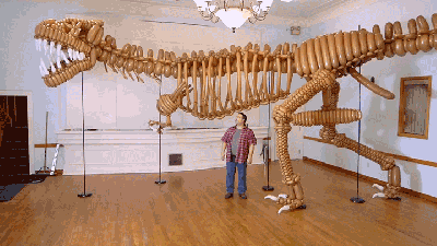 Your Next Birthday Party Needs This Life-Size Balloon Animal T-rex Skeleton