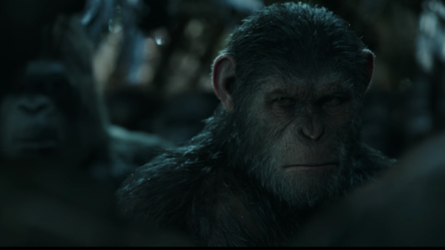 War For The Planet Of The Apes Is Expanding Its World Beyond Caesar