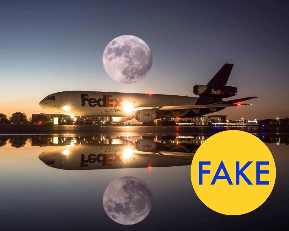 69 Viral Images From 2016 That Were Totally Fake