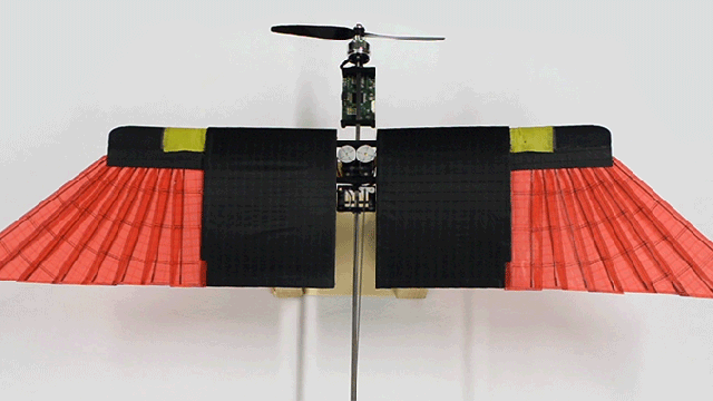 Researchers Make An Obvious Discovery For Improving Drones