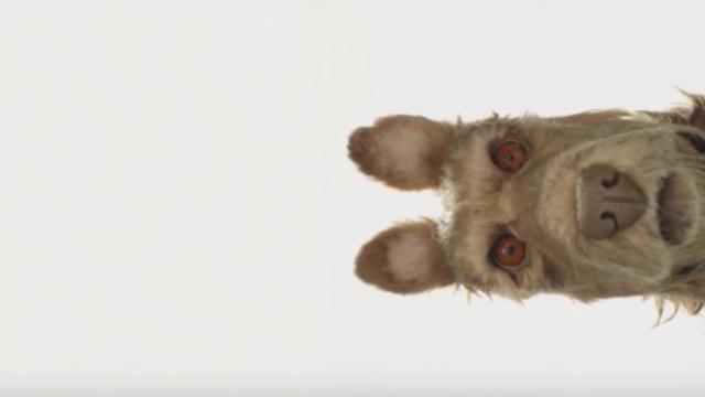 Wes Anderson Just Announced The Title And Cast Of His New Stop-Motion Animated Movie
