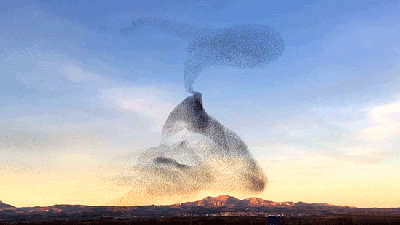 This Swarm Of Birds Moves Around Like Some Sort Of Dark Magic Cloud