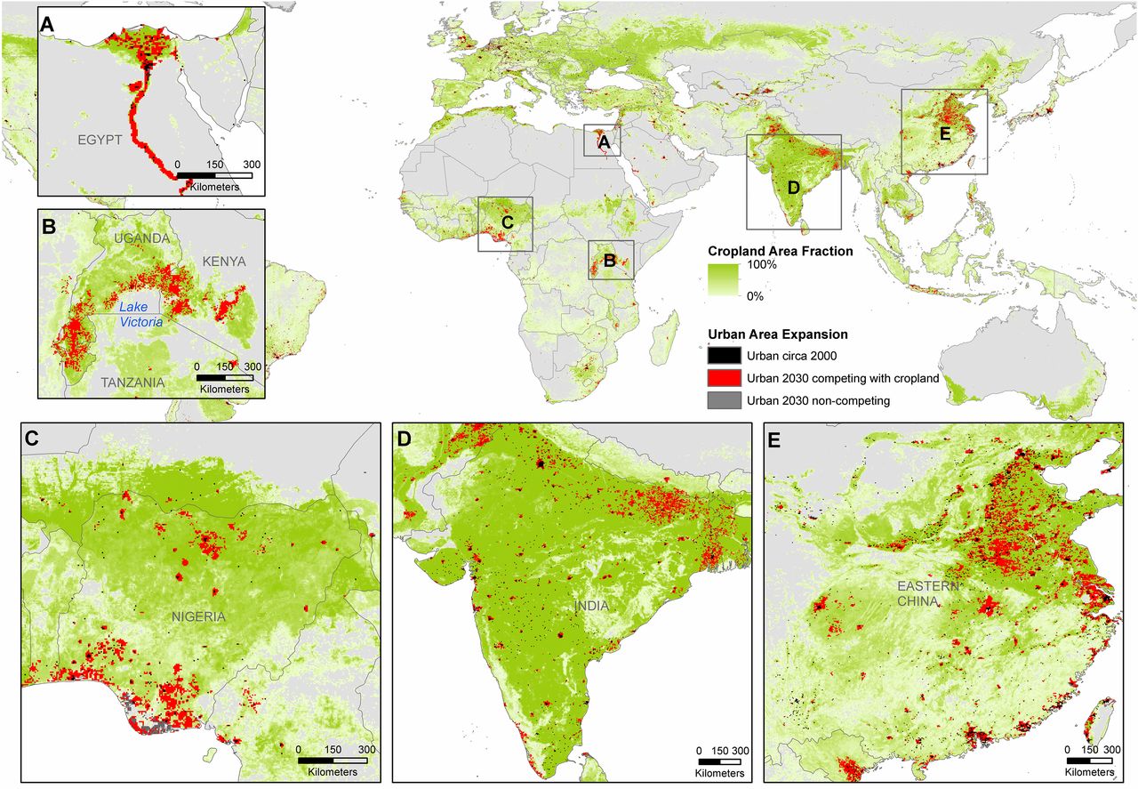 Megacities Will Gobble Up The Best Farmland, Leaving Humans Hungry