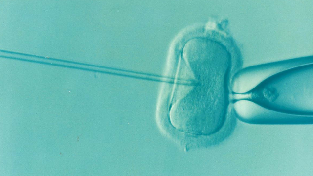 Dutch Fertility Clinic May Have Mixed Up Sperm For Dozens Of Couples