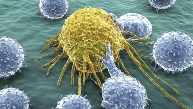New Cancer Therapy Shows Promise In Treating Aggressive Brain Tumours