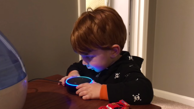 Amazon Dot Teaches Kid A Slew Of Very Dirty Words [NSFW]