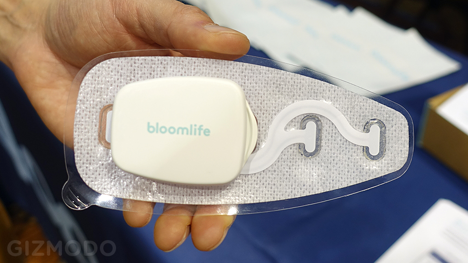 There Is Now A Wearable For Babies Before They Are Born