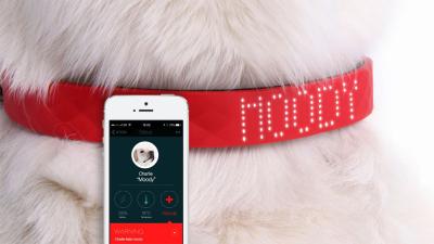 This Collar That Reads Pets’ Emotions Is A Tech Travesty
