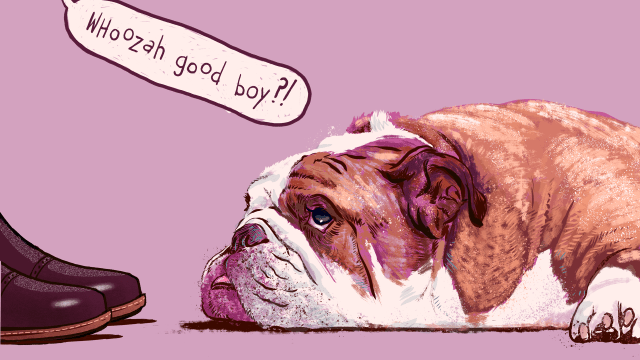 Grown-Arse Dogs Don’t Care About Your Stupid Baby Talk