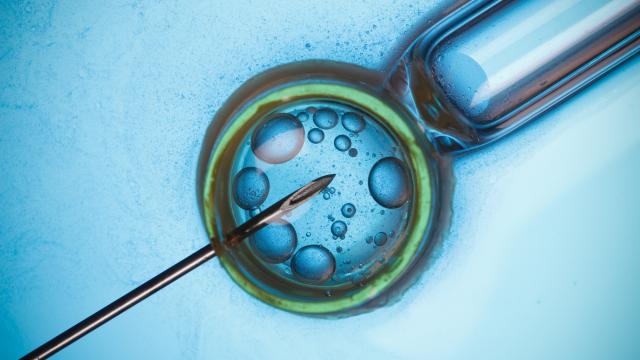 A New Fertility Technique Could Make ‘Designer Babies’ A Reality