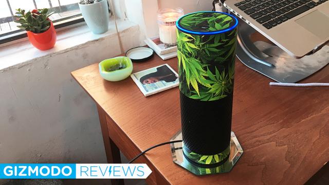 You Can Get A Weed Leaf Decal For Literally Any Gadget, So I Did