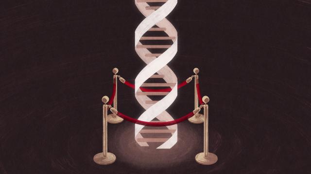 Do We Need An International Body To Regulate Genetic Engineering?