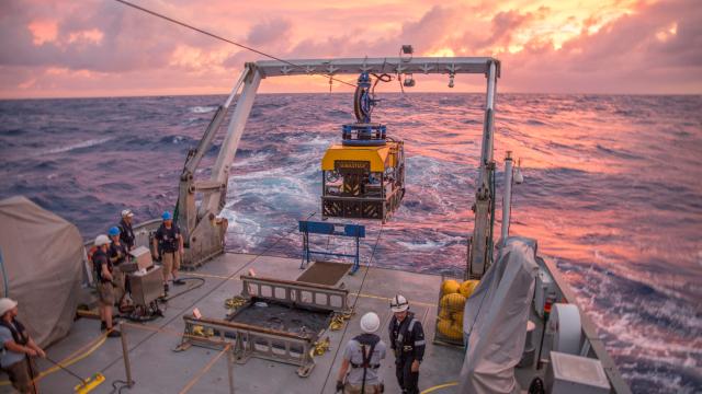 Breathtaking New Video Footage Of The Ocean’s Uncharted Depths