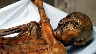 Ötzi The Iceman Was Making Prosciutto Over 5000 Years Ago