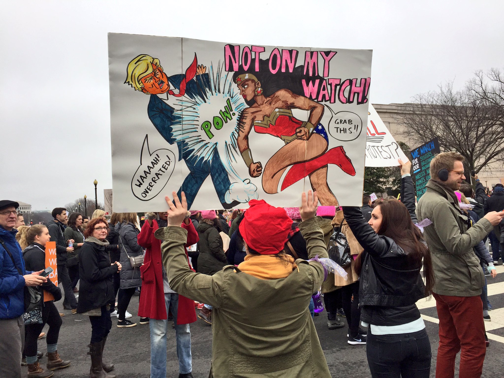 Women’s March Protesters Salute Rebel Hero Princess Leia