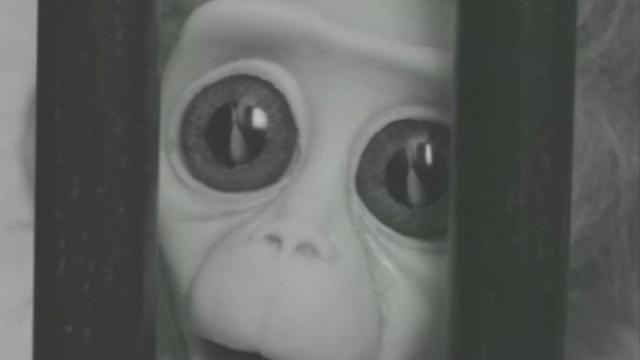 A Heartbreaking Short Film About A Monkey Who Dreams Of Space