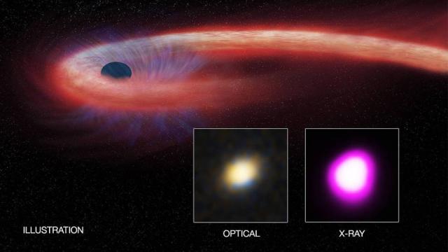 This Giant Black Hole Set A Record For Longest-Ever Lunch