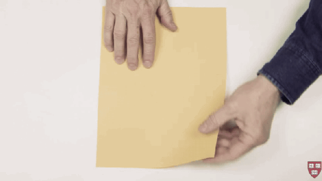 This Is How You Fold A Record-Breaking Paper Aeroplane