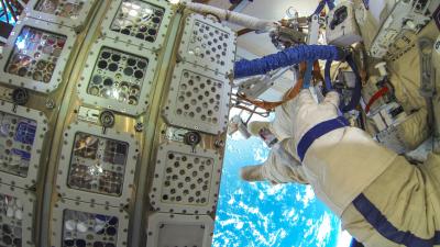 Freakishly Resilient Plants Managed To Survive A 450-Day Ordeal In Outer Space