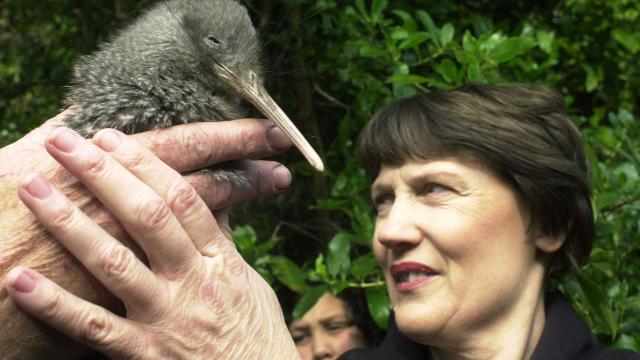 Will A Radical Plan To Save New Zealand’s Birds With Genetic Engineering Work?