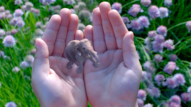 This Is Reportedly The Magic Leap Prototype And It Has A Long Way To Go